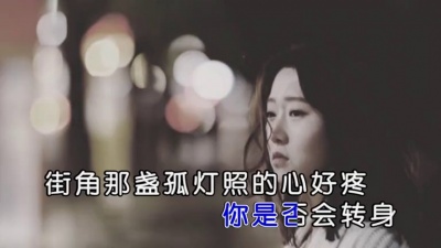 王鹤铮 - 和你很像的人
