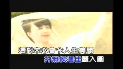 陈慧娴 - 柯德莉夏萍穿过的鞋