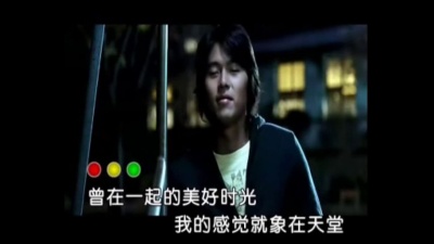 叶顺有 - 遍体鳞伤