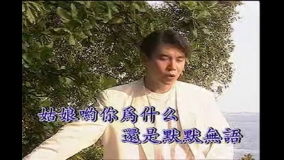 姚乙 - 绿岛小夜曲