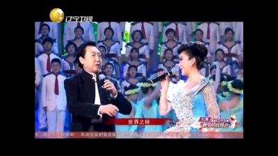 刘辉、马一鸣 - 中国梦,美丽的梦