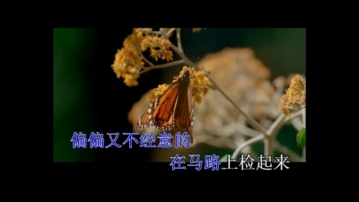 林宇中 - 落脚