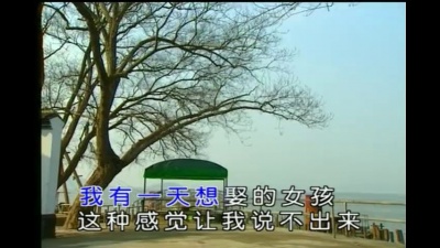 杨家成 - 她有