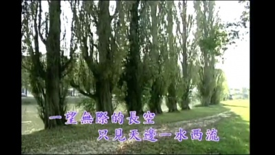 陈淑桦 - 星河颂