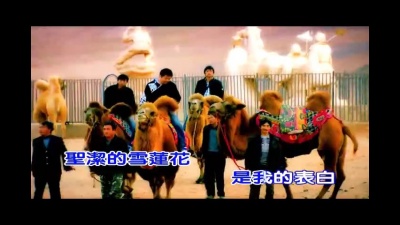 西域胡杨 - 我从天山来
