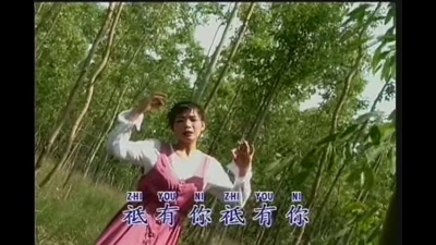 韩宝仪 - 梦难留