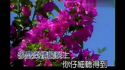 黑鸭子演唱组 - 莫斯科郊外的晚上