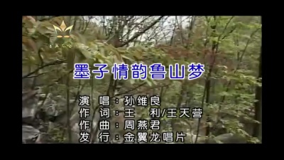 孙维良 - 墨子情韵鲁山梦