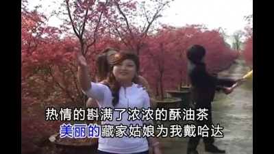 花满楼、花满楼 - 新走天涯
