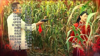 韩红 - 红高粱