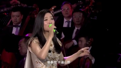凤凰传奇 - 繁花