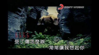 萧闳仁 - 小小流浪狗