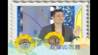 刘德华 - 踏浪