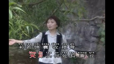 潘秀琼 - 葬花