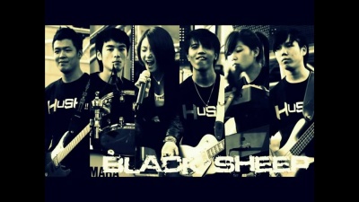 BlackSheep - Fall