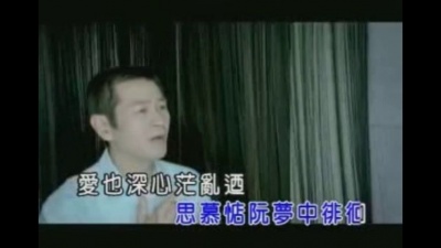 蔡小虎 - 红颜落崁