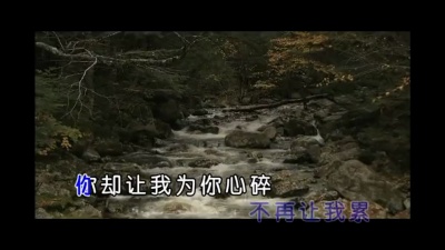 孙露 - 爱的太累