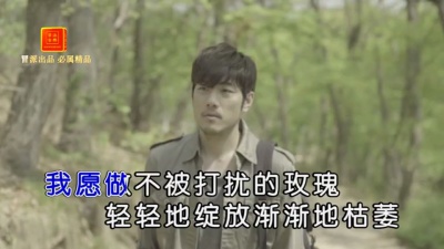 陈瑞 - 不被打扰的玫瑰