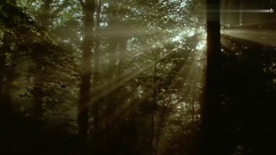 烦了 - Ivan Torrent《Human Legacy (饭制版)》
