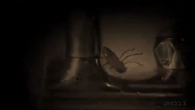 Ham Sandwich - Ants