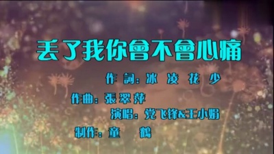 王小娟、党飞锋 - 丢了我你会不会心痛