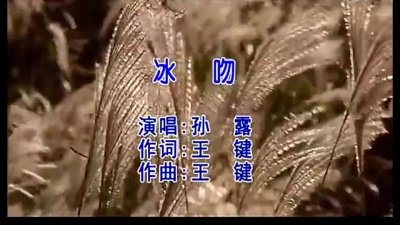 孙露 - 冰吻
