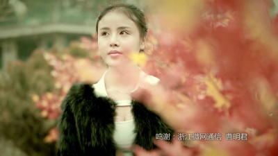 何龙雨 - 错过了缘分错过你