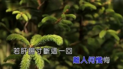 姜玉阳 - 夜幕缀