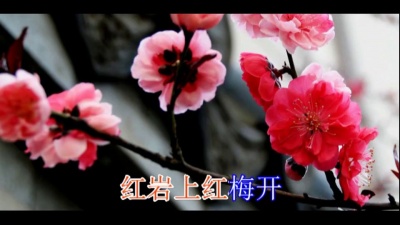 龚玥 - 红梅赞