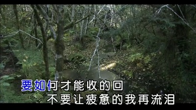 孙露 - 不要让我再流泪