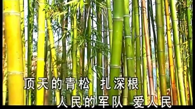 刘紫玲 - 边疆的泉水清又纯