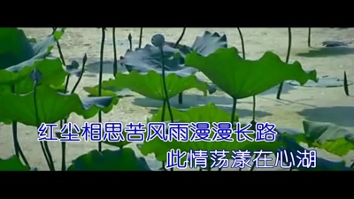 路童 - 情之恋