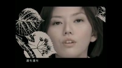 孙燕姿 - 橄榄树