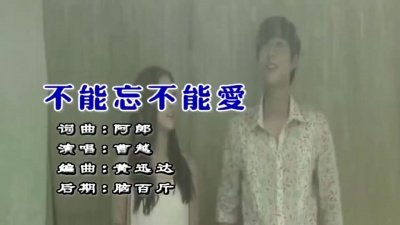 曹越 - 不能忘不能爱