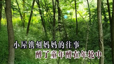 韩晓辉 - 醉美王家河