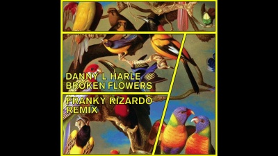 Danny L Harle - Broken Flowers (Franky Rizardo Remix [Official Audio]) (Franky Rizardo Remix [Official Audio])