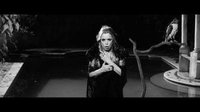 ednita nazario - Adiós