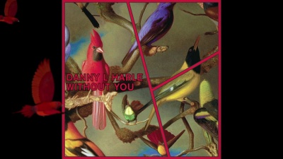 Danny L Harle - Without You (Audio)