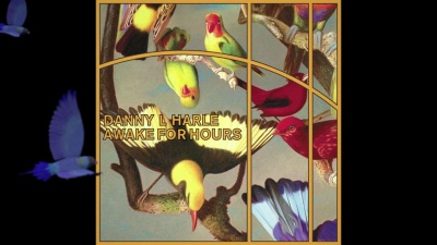 Danny L Harle - Awake for Hours (Audio)