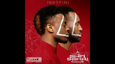 The Shin Sekaï - Laisse ça  