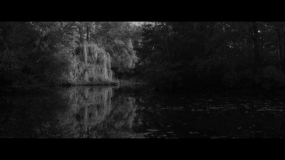 Buvette - The Seduction Parade