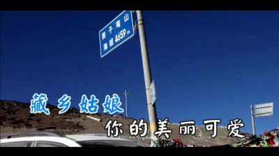 刘长锁 - 藏乡姑娘