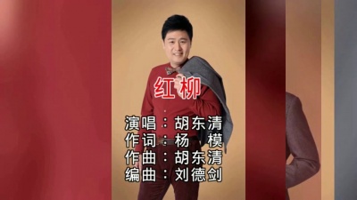 胡东清 - 红柳