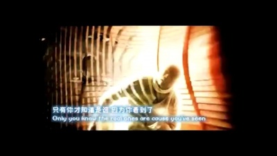 Seal - Amazing