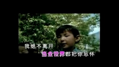 李冰冰 - 一生的爱