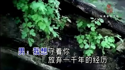 洪凯、张莹 - 寻情记