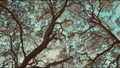 야수 (Yasu)、YASU、릴우 - Sorrow