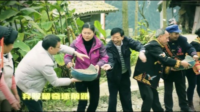 陈星 - 团结乡