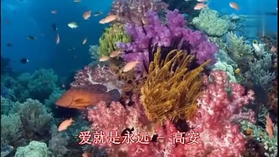 高安 - 爱就是永远