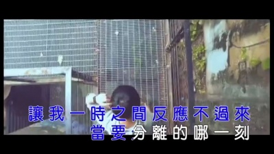 沈波 - 一心一意爱你 (KTV版)